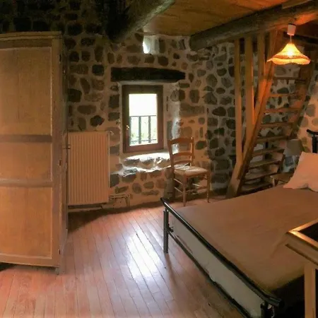 Maison Pittoresque A Arlempdes Avec Cheminee Et Terrasse - Fr-1-582-114