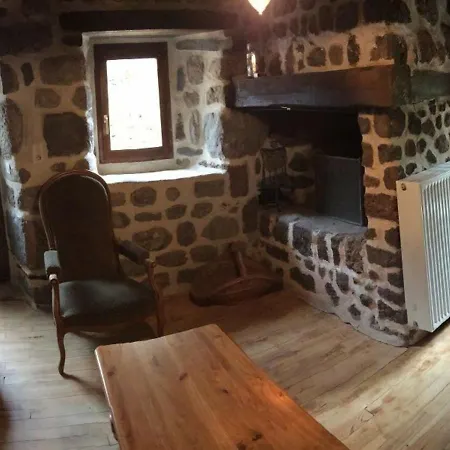 Maison Pittoresque A Arlempdes Avec Cheminee Et Terrasse - Fr-1-582-114 *